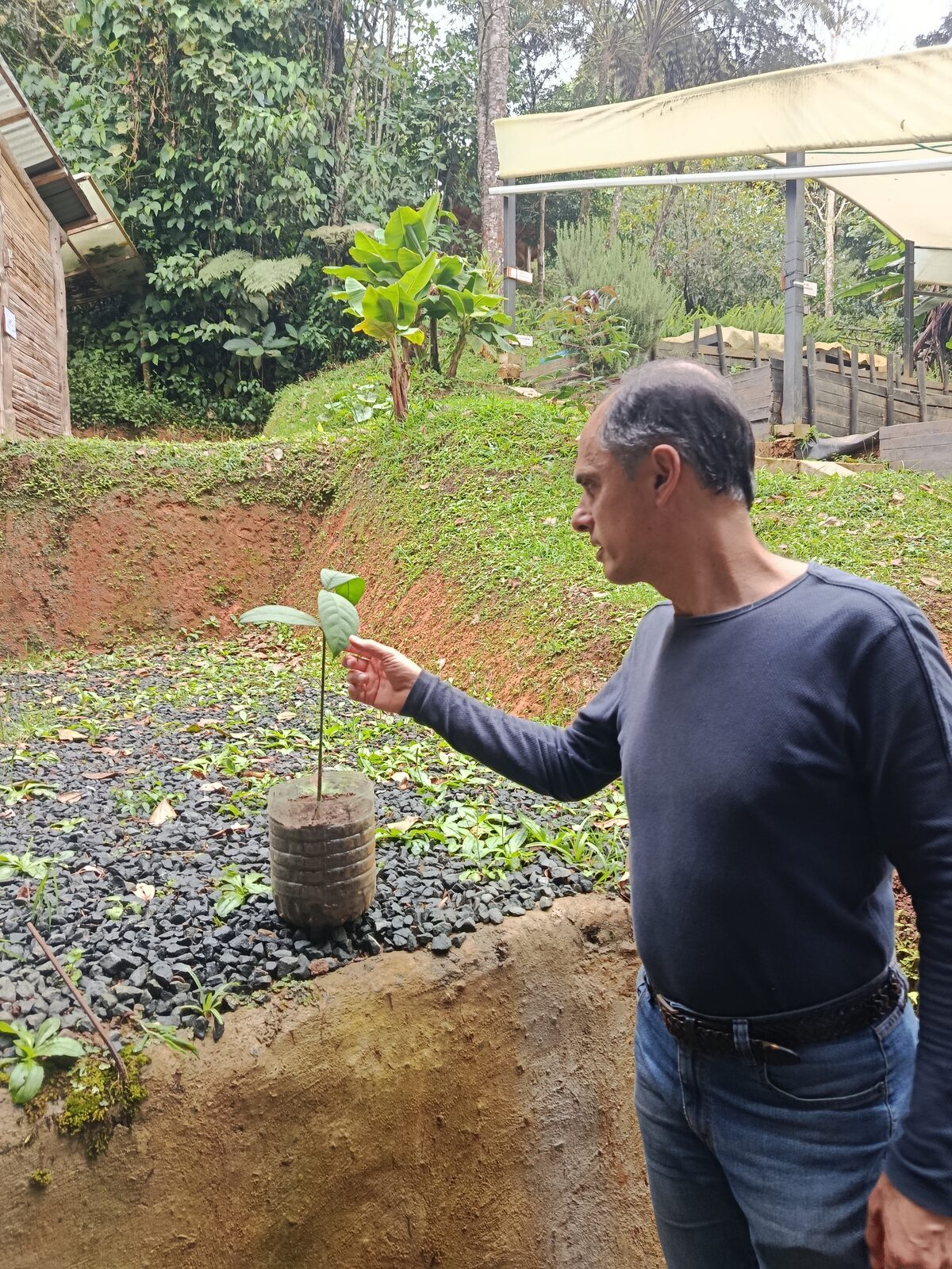Integrante de Ecovida sosteniendo una plántula nativa en el vivero